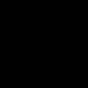 Meet your Posher, Ariana